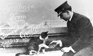 sailor and cat